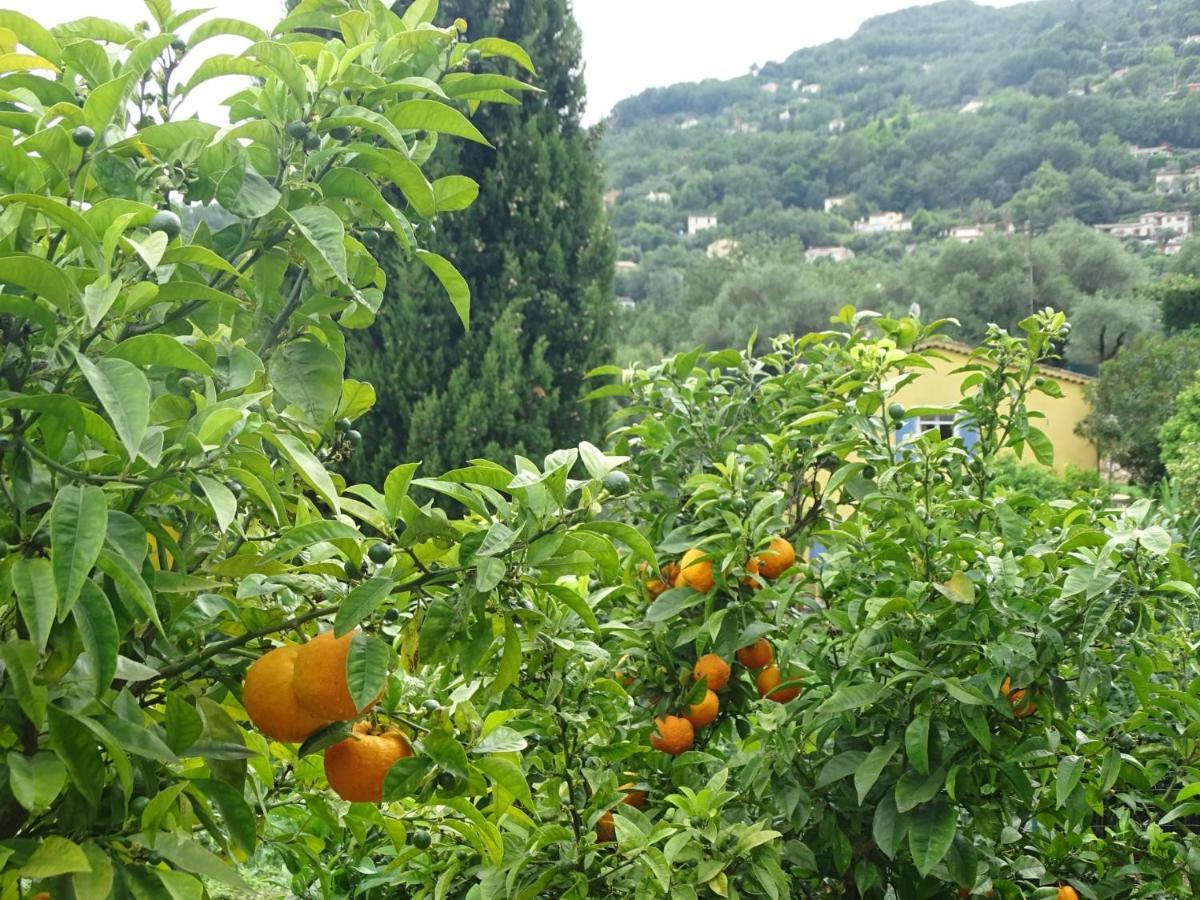 Luva D'Azur, Rez De Villa Le Riou - Le Vallon Le Bar-sur-Loup Eksteriør bilde