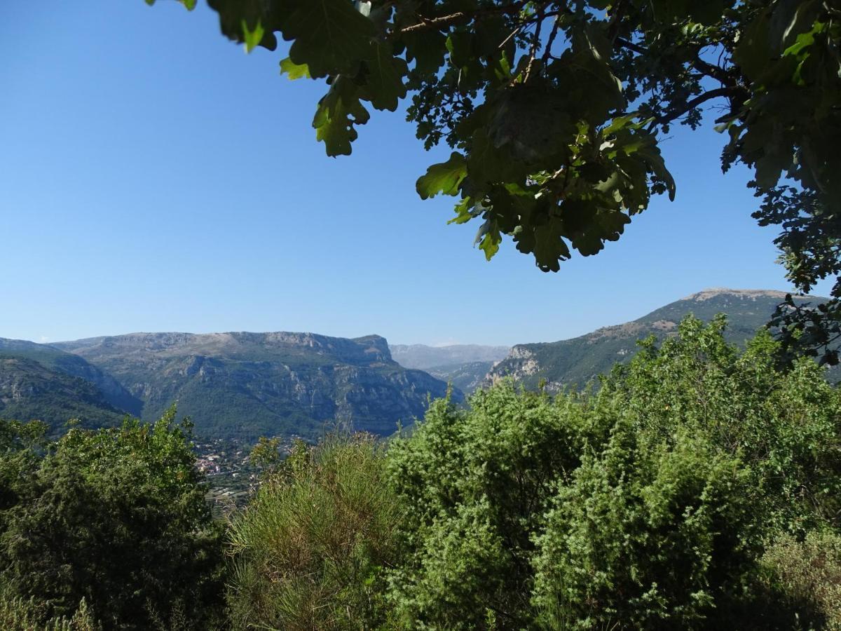 Luva D'Azur, Rez De Villa Le Riou - Le Vallon Le Bar-sur-Loup Eksteriør bilde