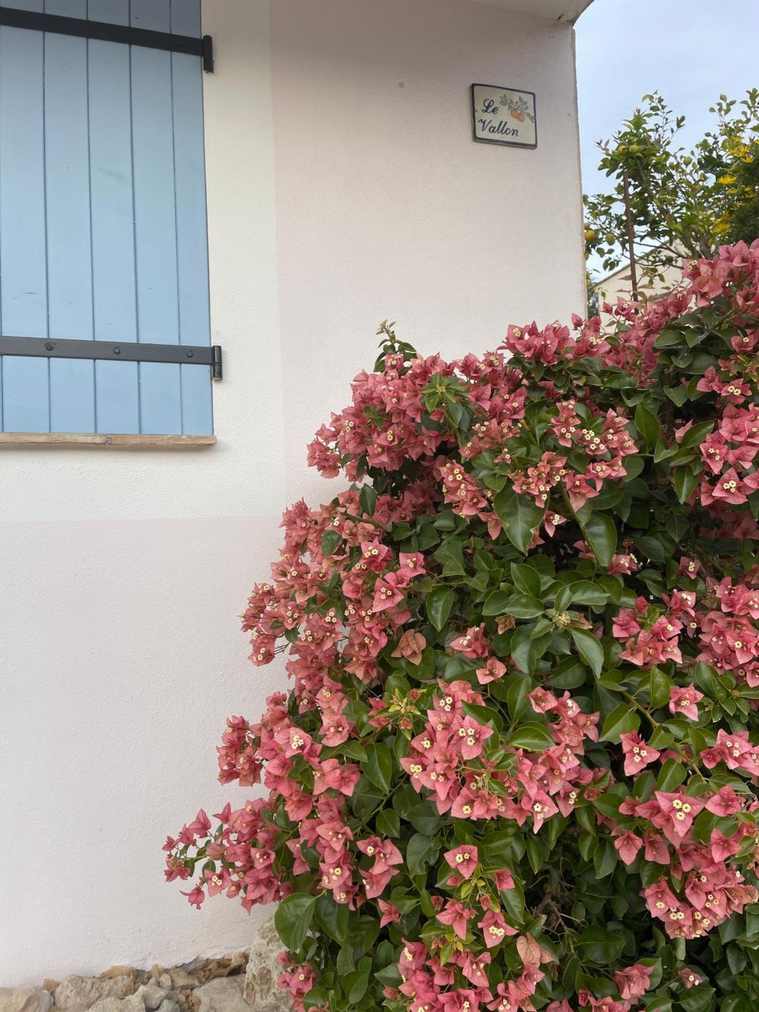Luva D'Azur, Rez De Villa Le Riou - Le Vallon Le Bar-sur-Loup Eksteriør bilde