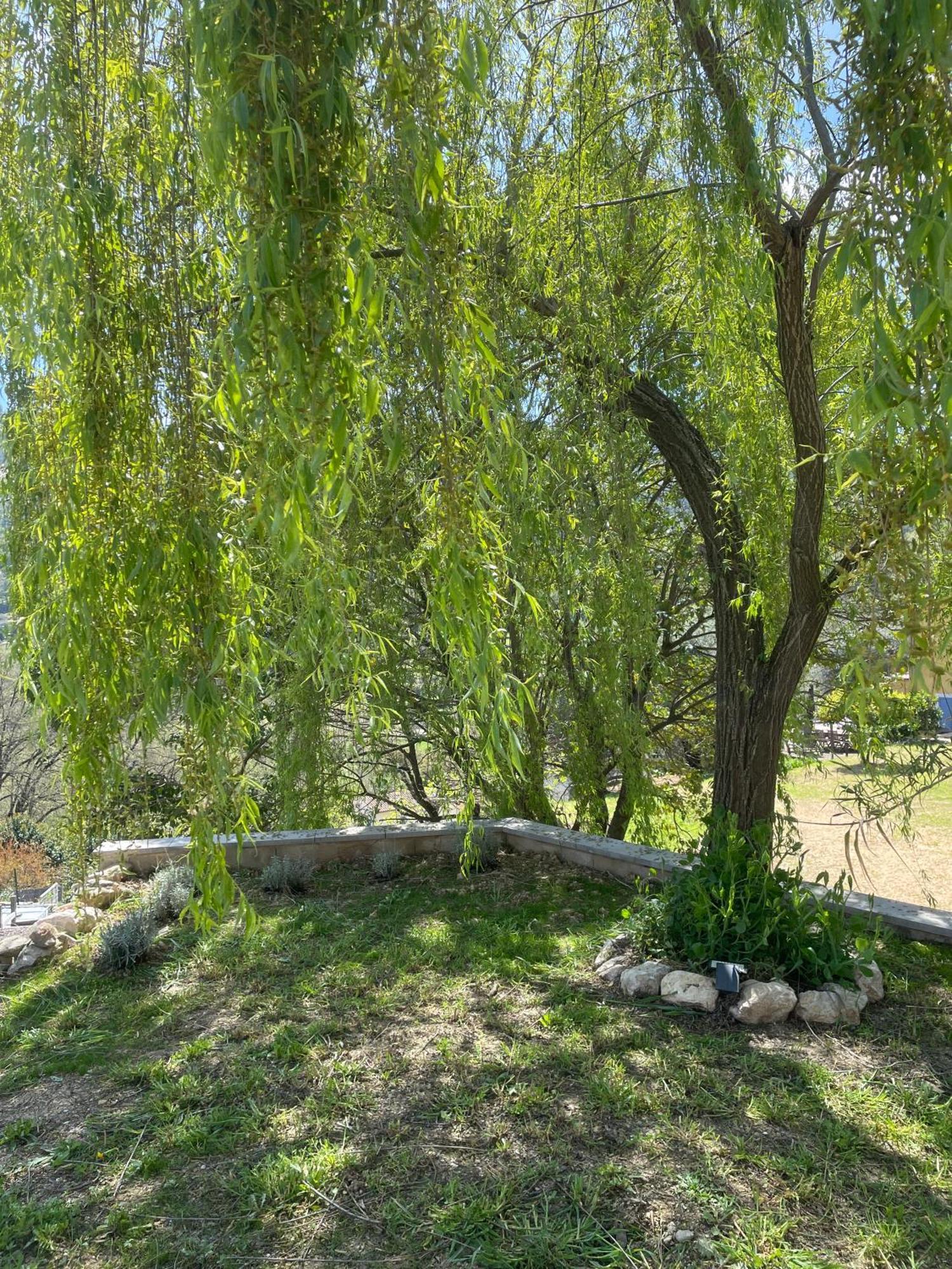 Luva D'Azur, Rez De Villa Le Riou - Le Vallon Le Bar-sur-Loup Eksteriør bilde